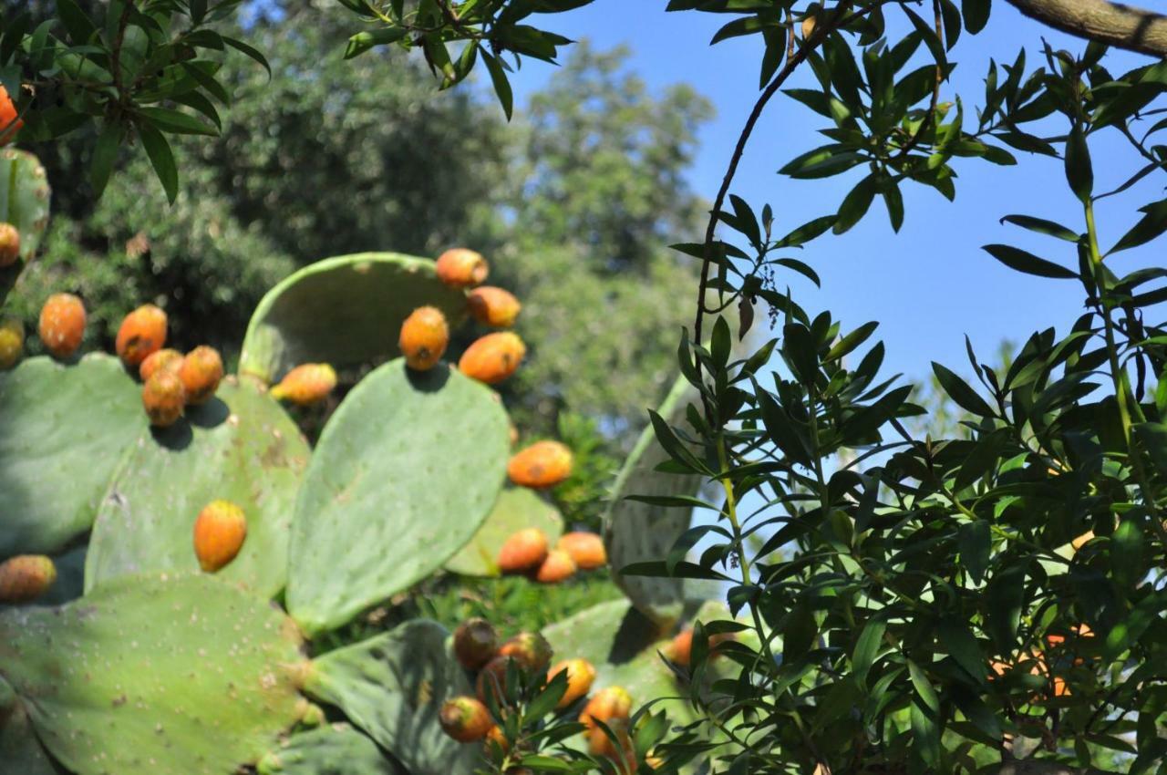 Casa Gorgole Lägenhet Ostuni Exteriör bild